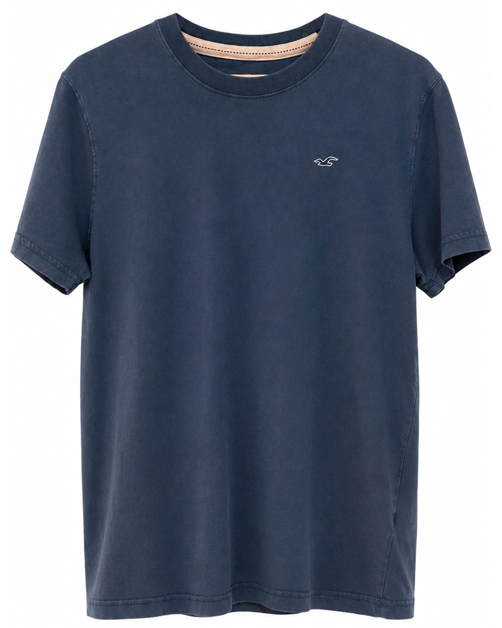 Polo Hollister