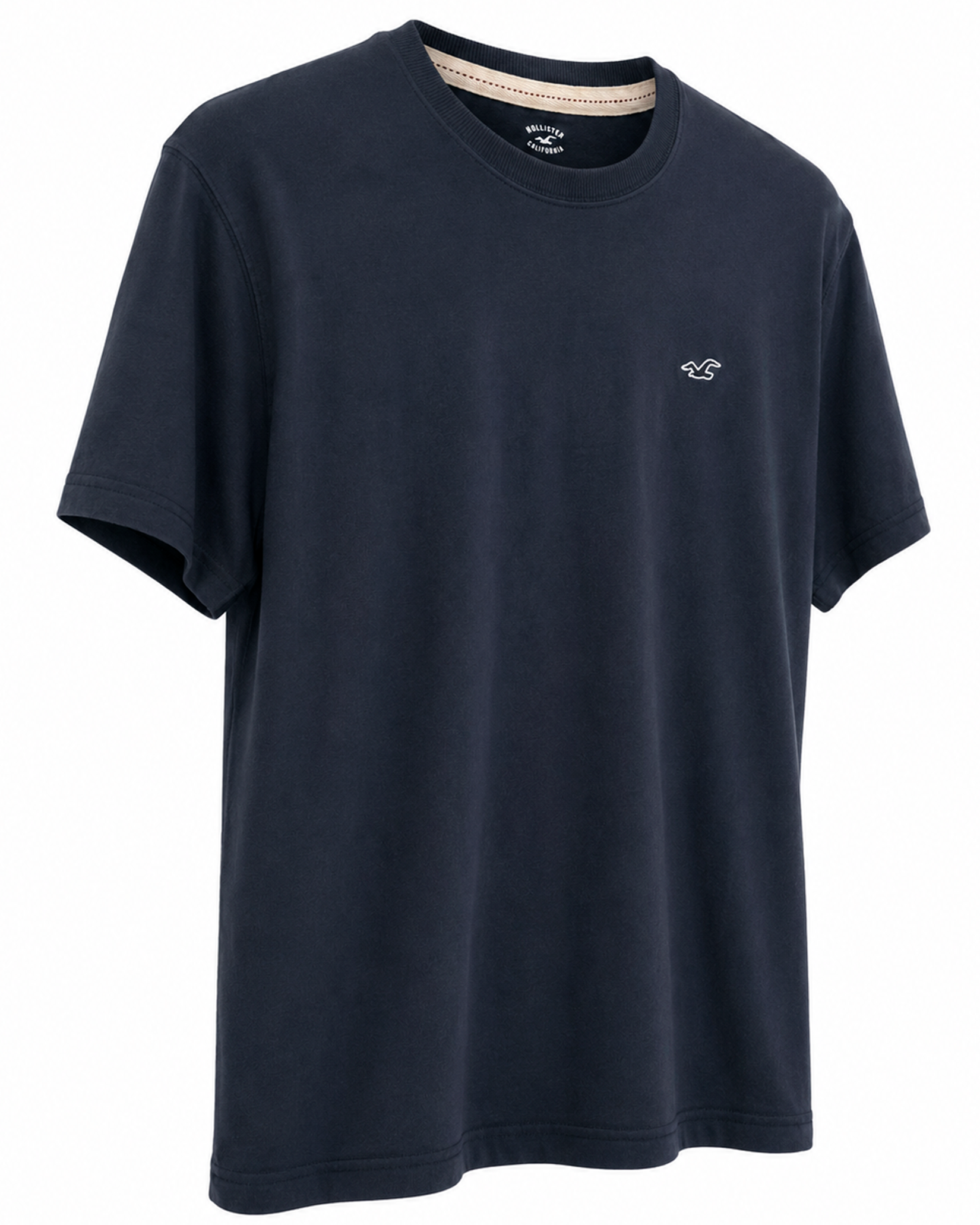Polo Hollister
