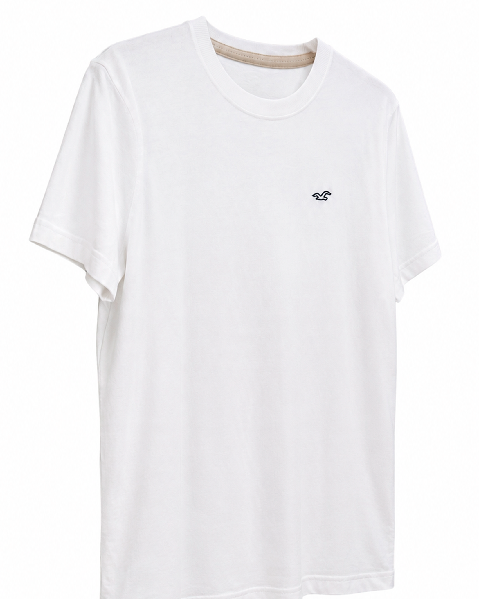 Polo Hollister