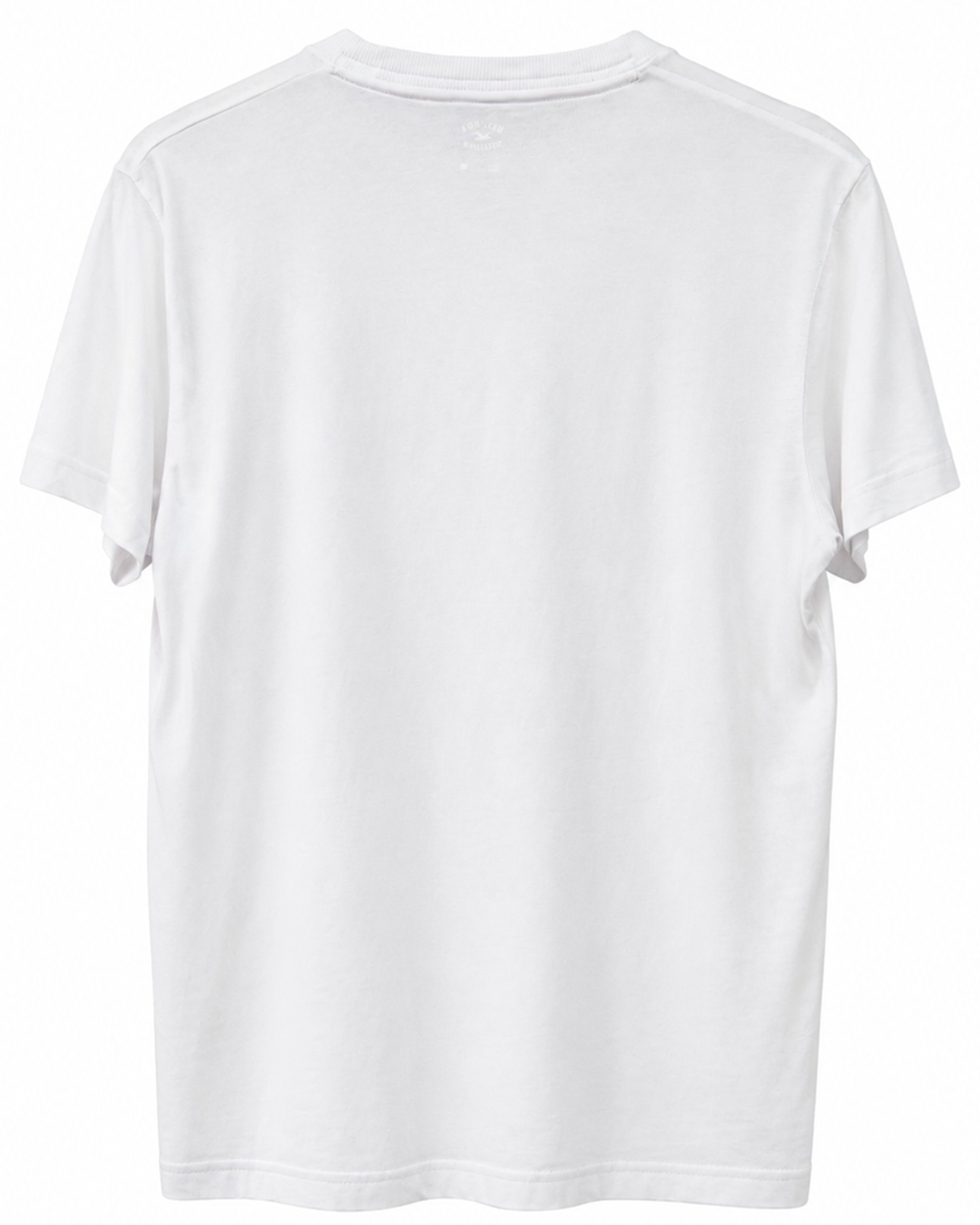 Polo Hollister